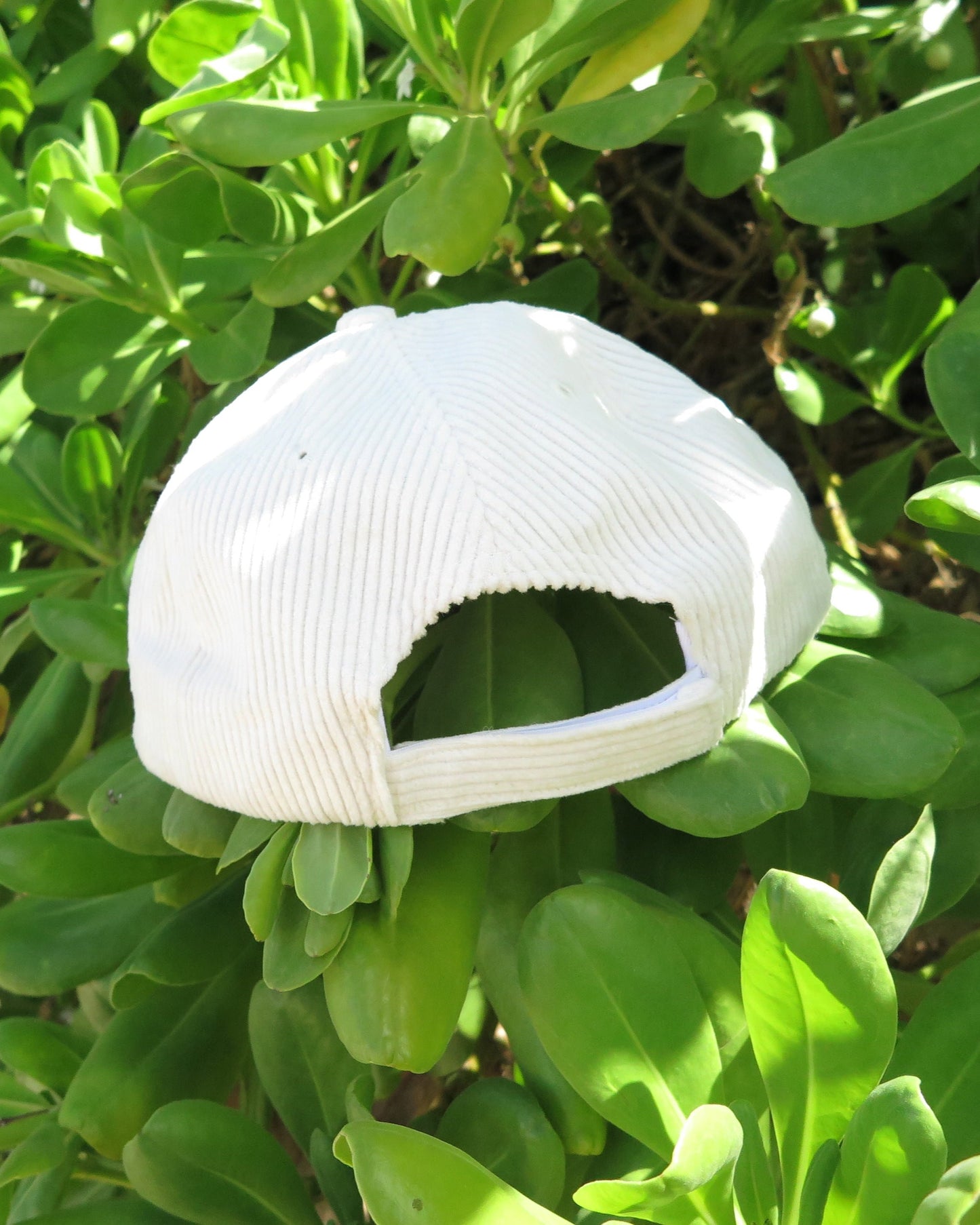 Lani's Sunset Surfty Cord Hat